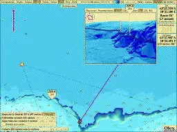 Plage de sondes mise en évidence sur un tombant en 3D